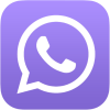 WhatsApp icon